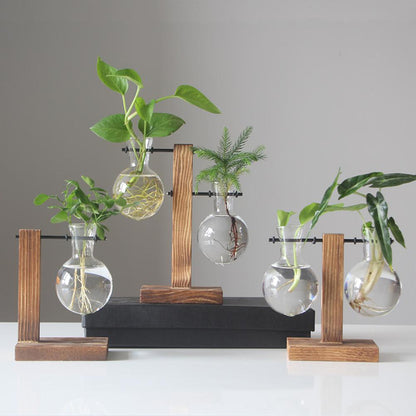 Creative Glass Desktop Planter Bulb Vase Wooden