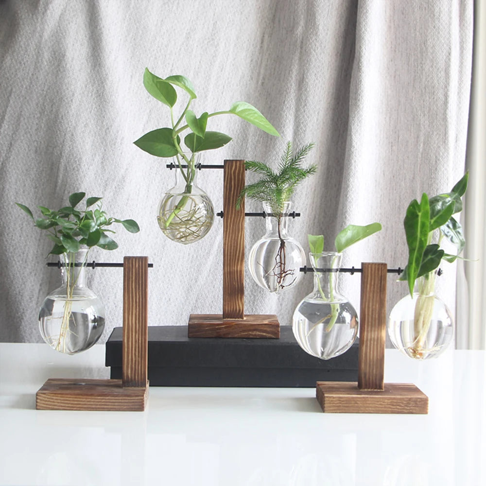 Creative Glass Desktop Planter Bulb Vase Wooden