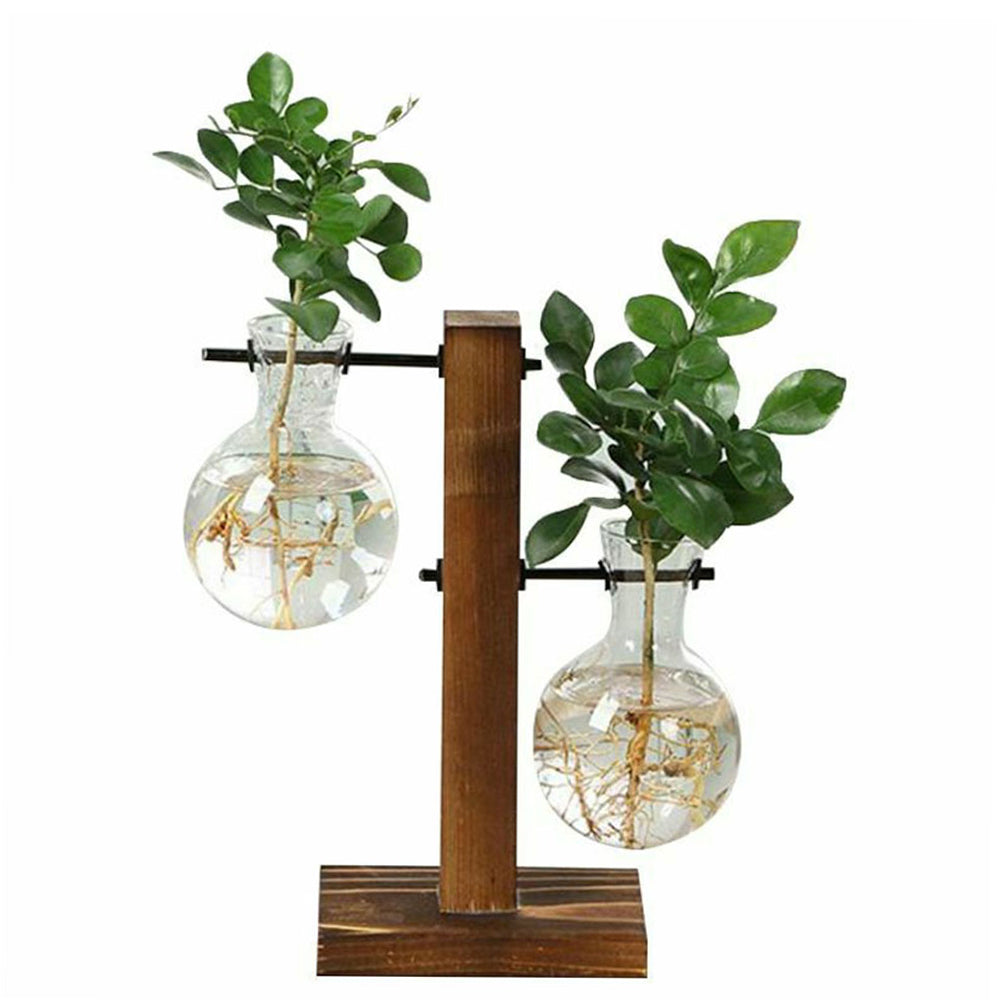 Creative Glass Desktop Planter Bulb Vase Wooden