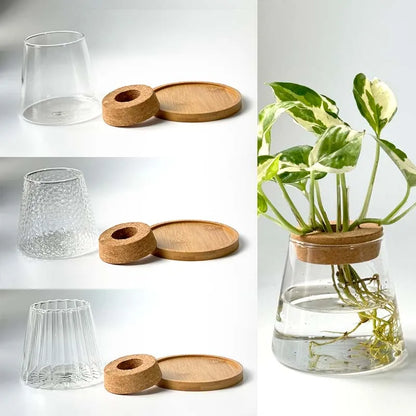 Volcano Glass Plant Vase Hydroponic