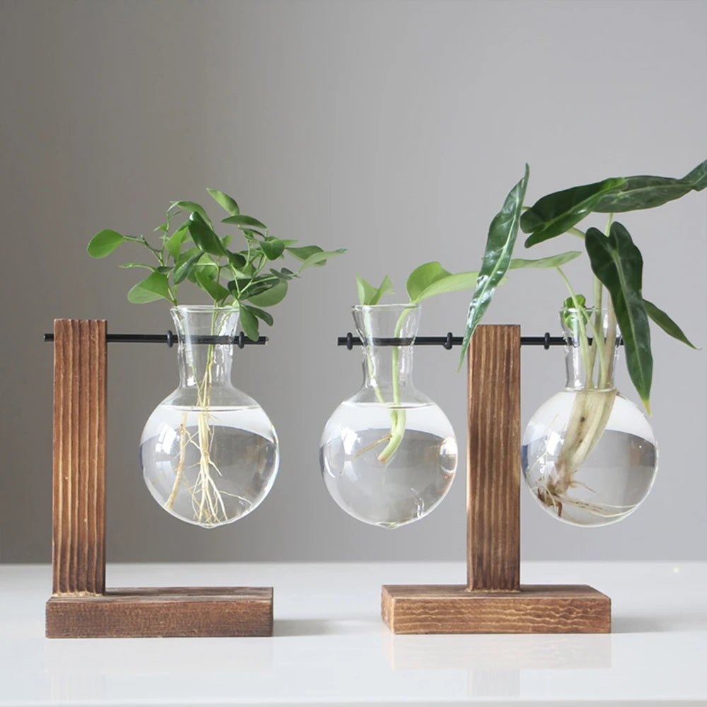 Creative Glass Desktop Planter Bulb Vase Wooden