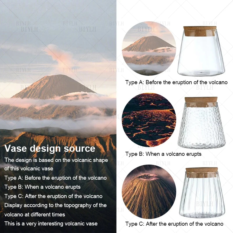 Volcano Glass Plant Vase Hydroponic