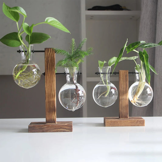 Creative Glass Desktop Planter Bulb Vase Wooden